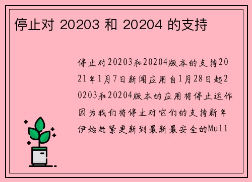 停止对 20203 和 20204 的支持 